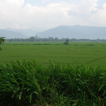 Rico Resort Chiang Kham Экстерьер фото